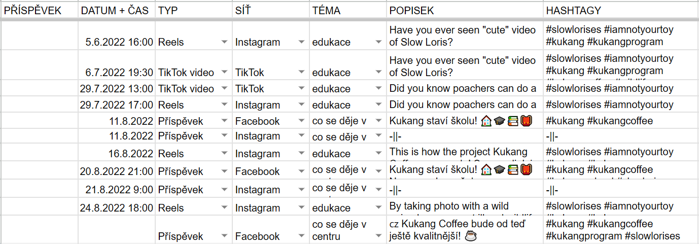 Excel sheet for social media posts planning